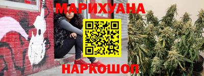 прущие грибы Пыть-Ях