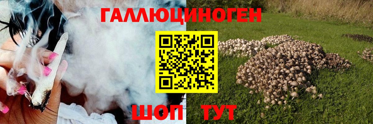 Псилоцибиновые грибы GOLDEN TEACHER  Галлюциногенные грибы Cubensis  Вход с VPN  Новотроицк 