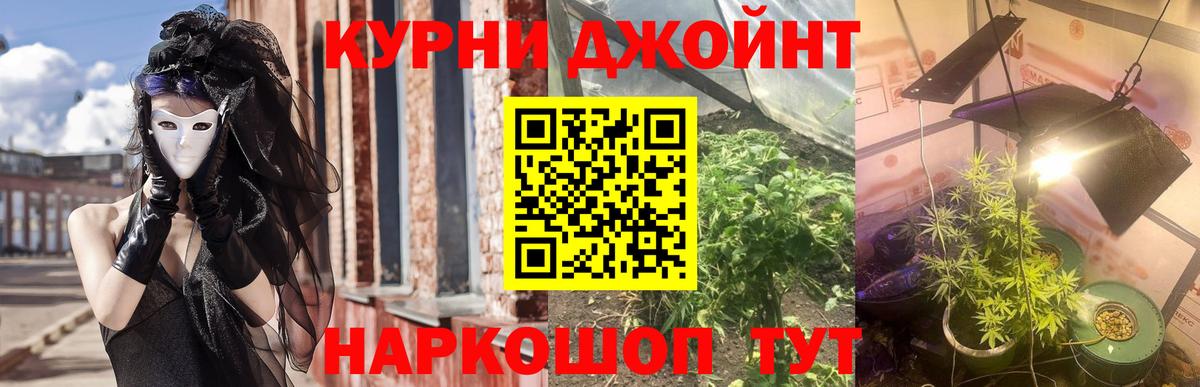 Бошки марихуана VHQ Новотроицк